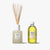 Comfort Zone: Kit Home Fragrance Con Refill Kit profumatore per ambiente con ricarica-BDSCIT00046
